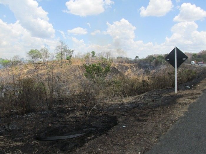 Quatro Lagoinhense Morre em um Acidente de transito na BR 316   - Imagem 3
