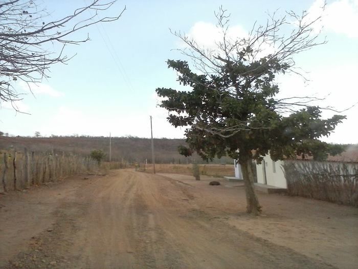 Mais estradas – Sítio a Roça Nova - Imagem 3