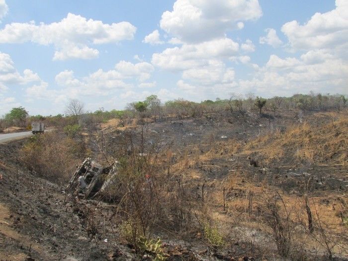 Quatro Lagoinhense Morre em um Acidente de transito na BR 316   - Imagem 42