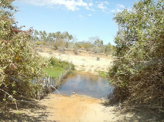 Meio ambiente e estradas – Passagem sobre o Rio Itaim – Junco/Lagoa Seca - Imagem 3
