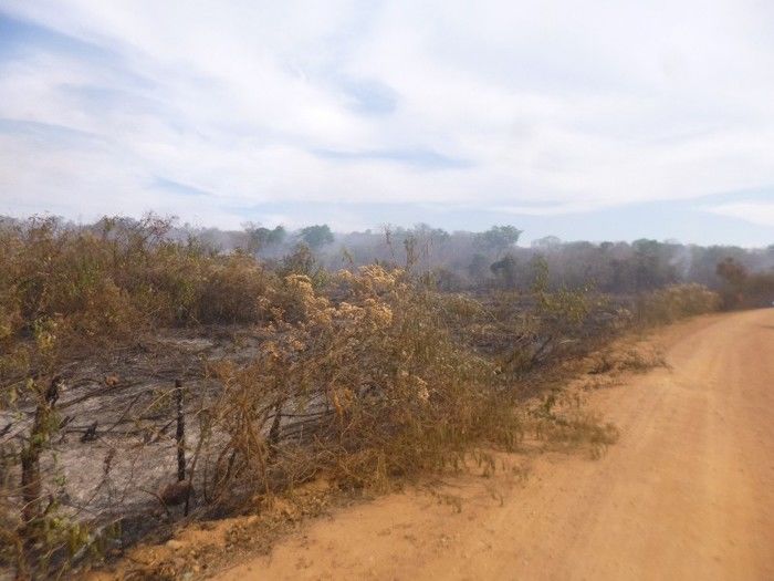 Grande incêndio destrói plantações, cercas e pode provocar morte de animais na Zona Rural do município de Redenção  - Imagem 8