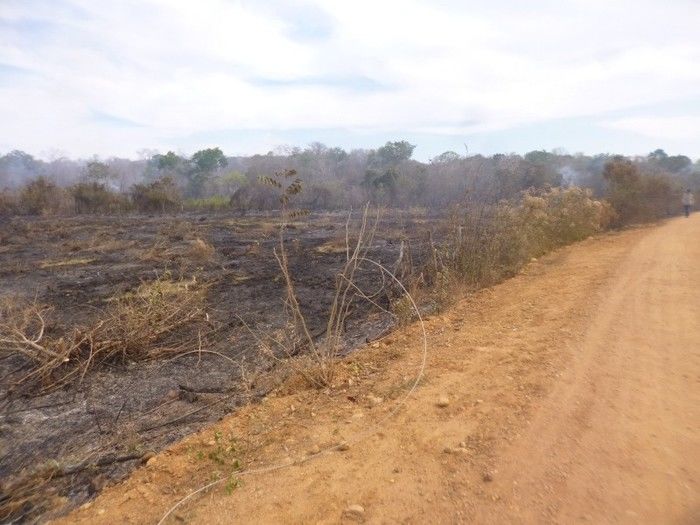 Grande incêndio destrói plantações, cercas e pode provocar morte de animais na Zona Rural do município de Redenção  - Imagem 3
