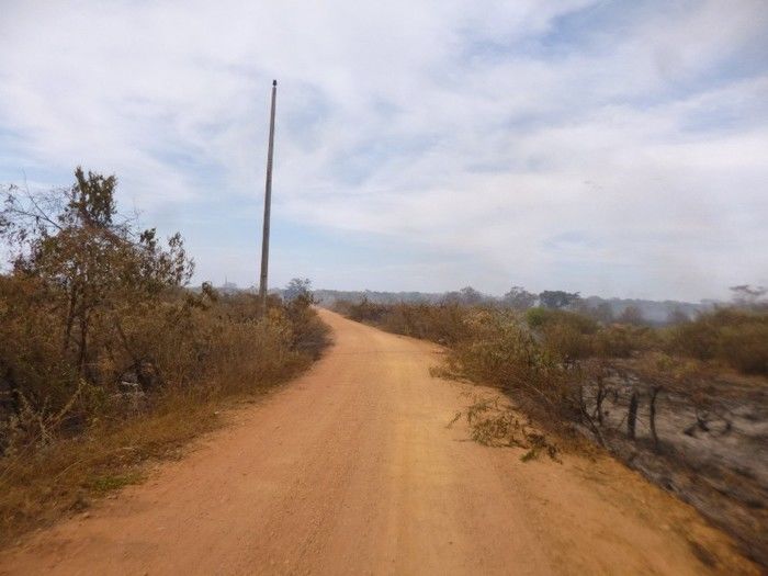 Grande incêndio destrói plantações, cercas e pode provocar morte de animais na Zona Rural do município de Redenção  - Imagem 6