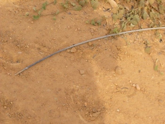 Grande incêndio destrói plantações, cercas e pode provocar morte de animais na Zona Rural do município de Redenção  - Imagem 5