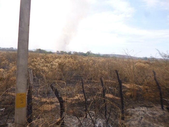Grande incêndio destrói plantações, cercas e pode provocar morte de animais na Zona Rural do município de Redenção  - Imagem 7