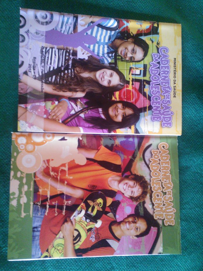 Equipe da Saúde realiza palestras através do PSE na câmara dos vereadores - Imagem 16