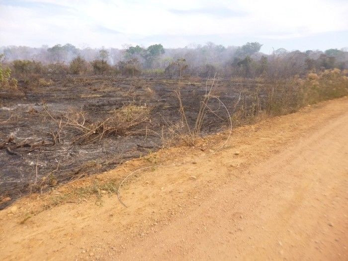 Grande incêndio destrói plantações, cercas e pode provocar morte de animais na Zona Rural do município de Redenção  - Imagem 9