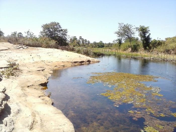 Meio ambiente e estradas – Passagem sobre o Rio Itaim – São Benedito/Monte Real - Imagem 2