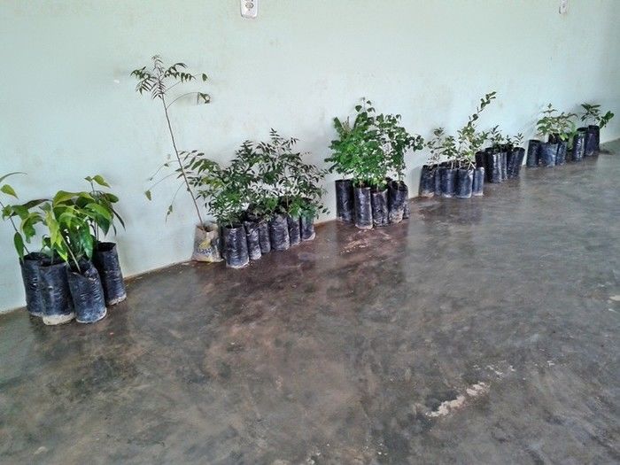 Secretaria de Assistência realiza palestra com as famílias do programa “ Minha Casa Minha Vida 2 ” - Imagem 8