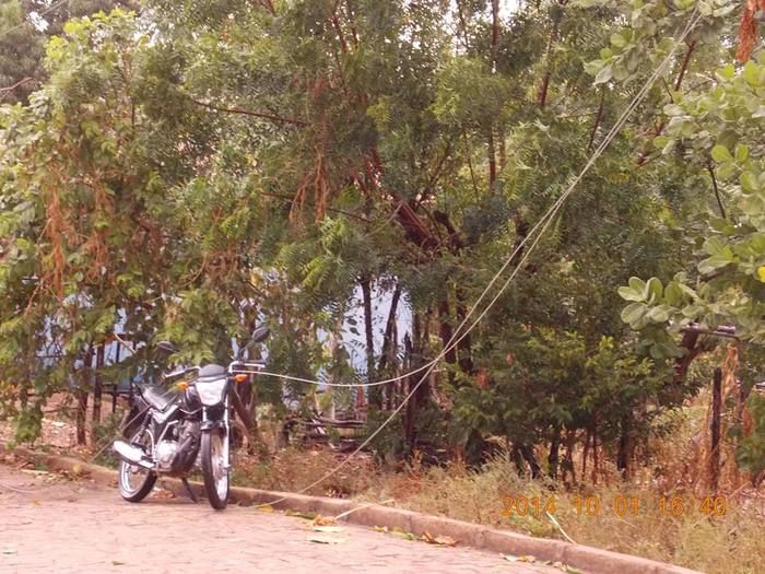 Chuva com ventania provoca danos em diversos pontos da cidade - Imagem 14