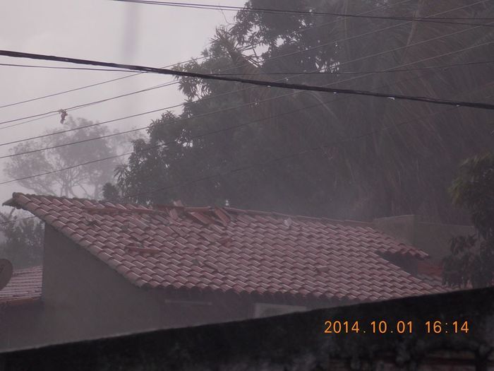 Chuva com ventania provoca danos em diversos pontos da cidade - Imagem 2