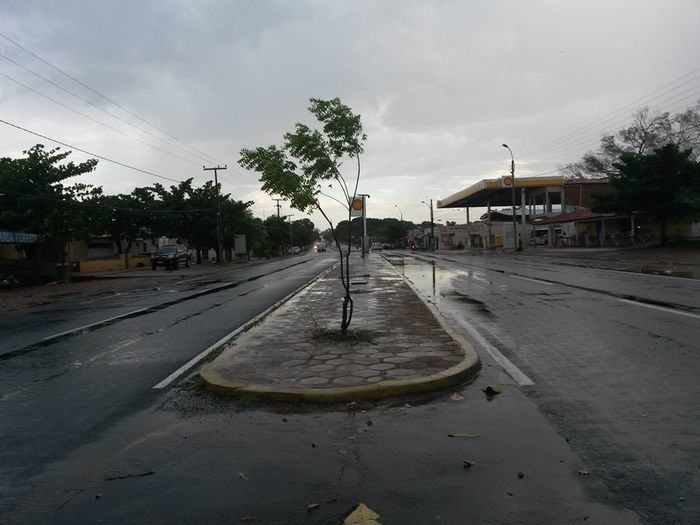 Chuva com ventania provoca danos em diversos pontos da cidade - Imagem 5