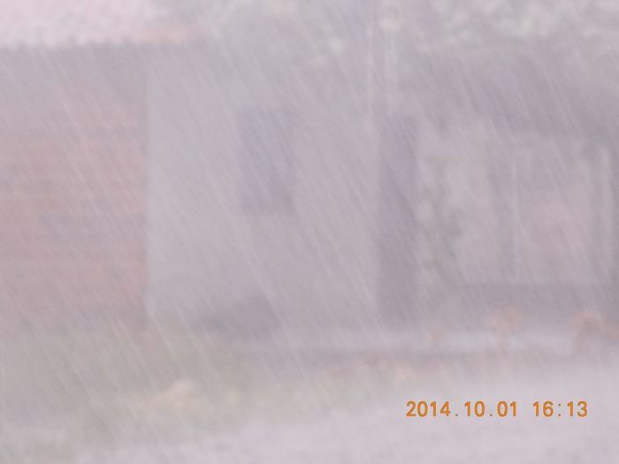 Chuva com ventania provoca danos em diversos pontos da cidade - Imagem 10