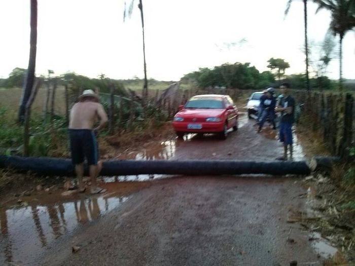 Chuva com ventania provoca danos em diversos pontos da cidade - Imagem 15