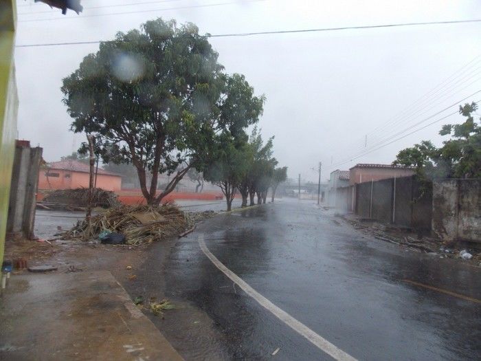 Chuva com ventania provoca danos em diversos pontos da cidade - Imagem 19
