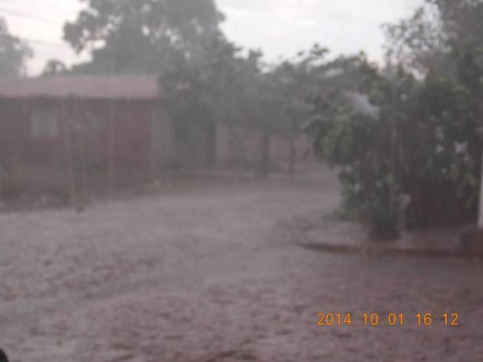 Chuva com ventania provoca danos em diversos pontos da cidade - Imagem 12