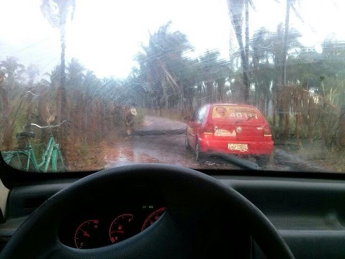 Chuva com ventania provoca danos em diversos pontos da cidade - Imagem 8