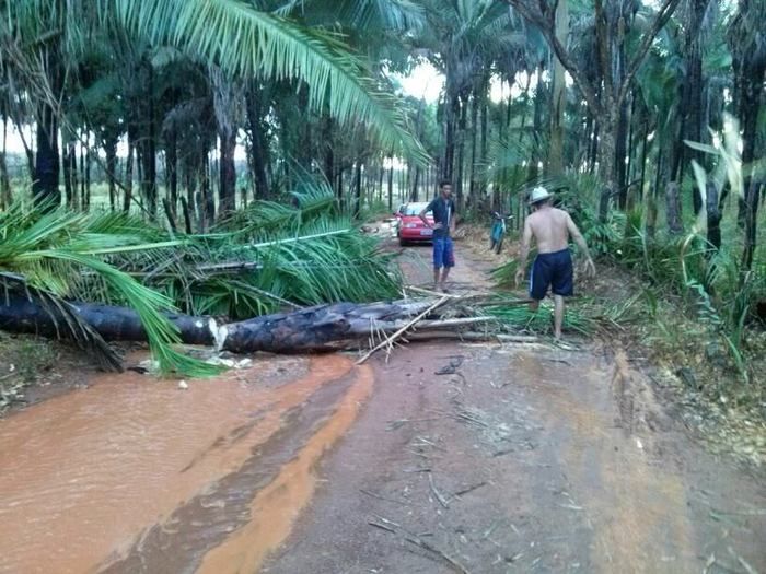 Chuva com ventania provoca danos em diversos pontos da cidade - Imagem 13