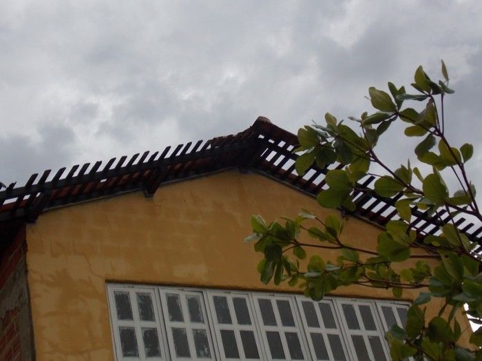 Chuva com ventania provoca danos em diversos pontos da cidade - Imagem 24