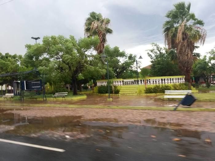 Chuva com ventania provoca danos em diversos pontos da cidade - Imagem 17