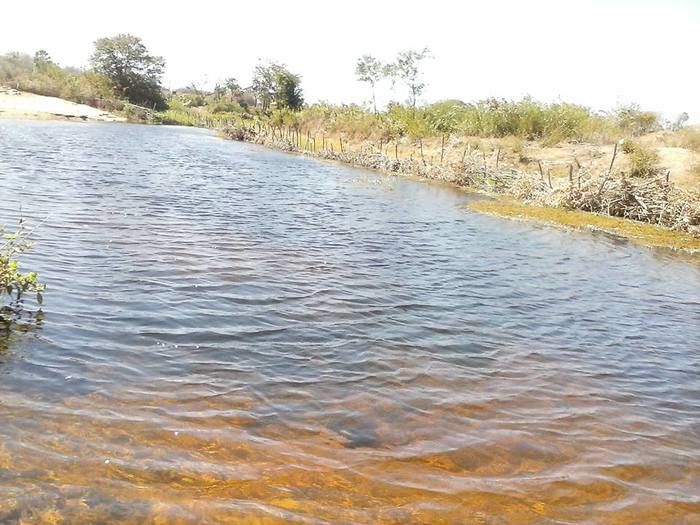 Meio ambiente e estradas – Passagem sobre o Rio Itaim – São Benedito/Monte Real - Imagem 3