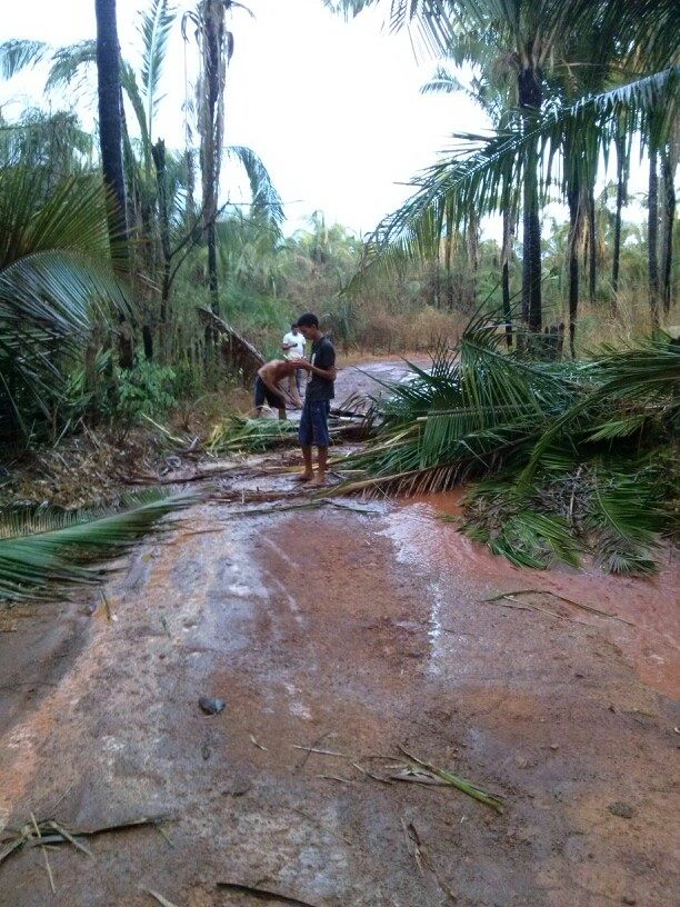 Chuva com ventania provoca danos em diversos pontos da cidade - Imagem 16