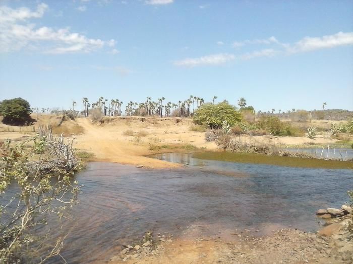 Meio ambiente e estradas – Passagem sobre o Rio Itaim – São Benedito/Monte Real - Imagem 4