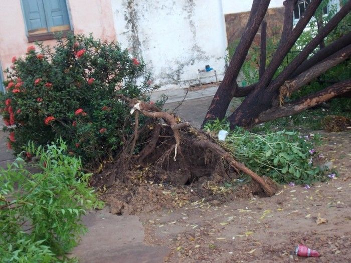 Chuva com ventania provoca danos em diversos pontos da cidade - Imagem 27