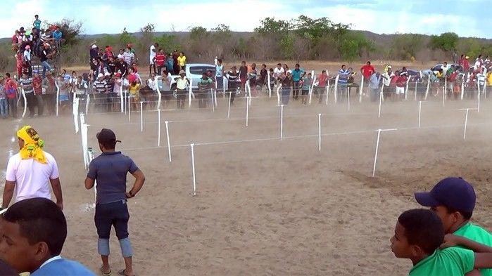 Prefeitura de Arraial realiza 18ª Festa dos Vaqueiros do Parque Santo Antônio - Imagem 7