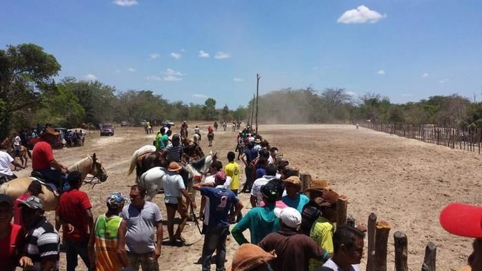 Ultima noite de festejos, noite dos vaqueiros com grande vaquejada! - Imagem 1