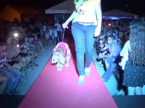 Água Branca realiza I Feira Cidade Empreendedora - Imagem 6