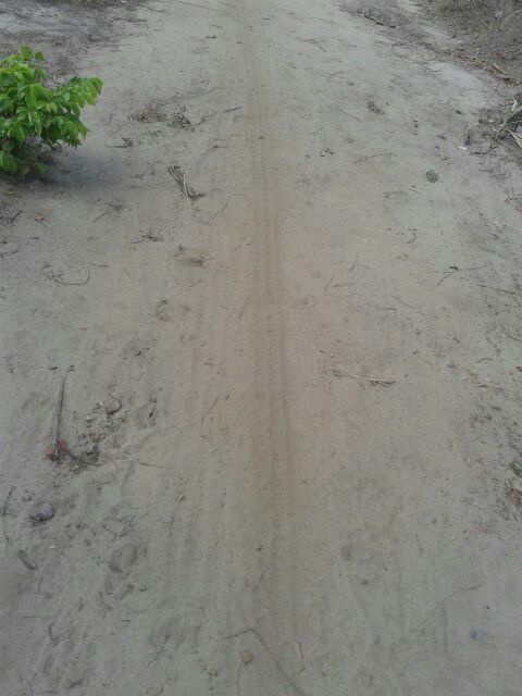 GAV e toda população ajudam famílias que perderam tudo em incêndio. - Imagem 6