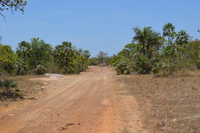 Prefeitura de José de Freitas recupera estradas nas localidades Tamboril e Carcará - Imagem 3