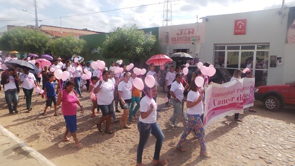 Caminhada marca Outubro Rosa em Pimenteiras. Veja as fotos  - Imagem 11