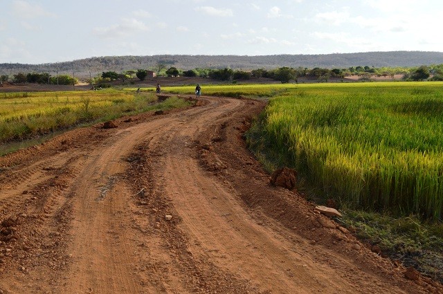 Prefeitura constrói trecho de estrada para agricultores escoar safra de arroz em Buriti dos Lopes - Imagem 5