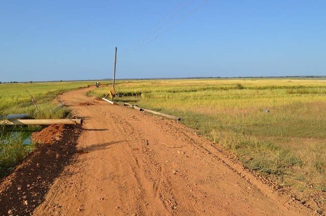 Prefeitura constrói trecho de estrada para agricultores escoar safra de arroz em Buriti dos Lopes - Imagem 1