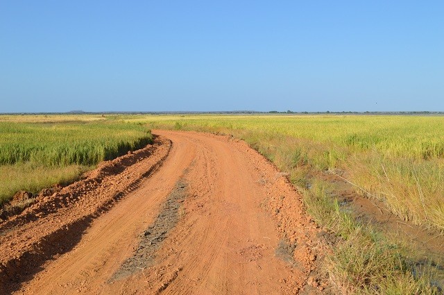 Prefeitura constrói trecho de estrada para agricultores escoar safra de arroz em Buriti dos Lopes - Imagem 3
