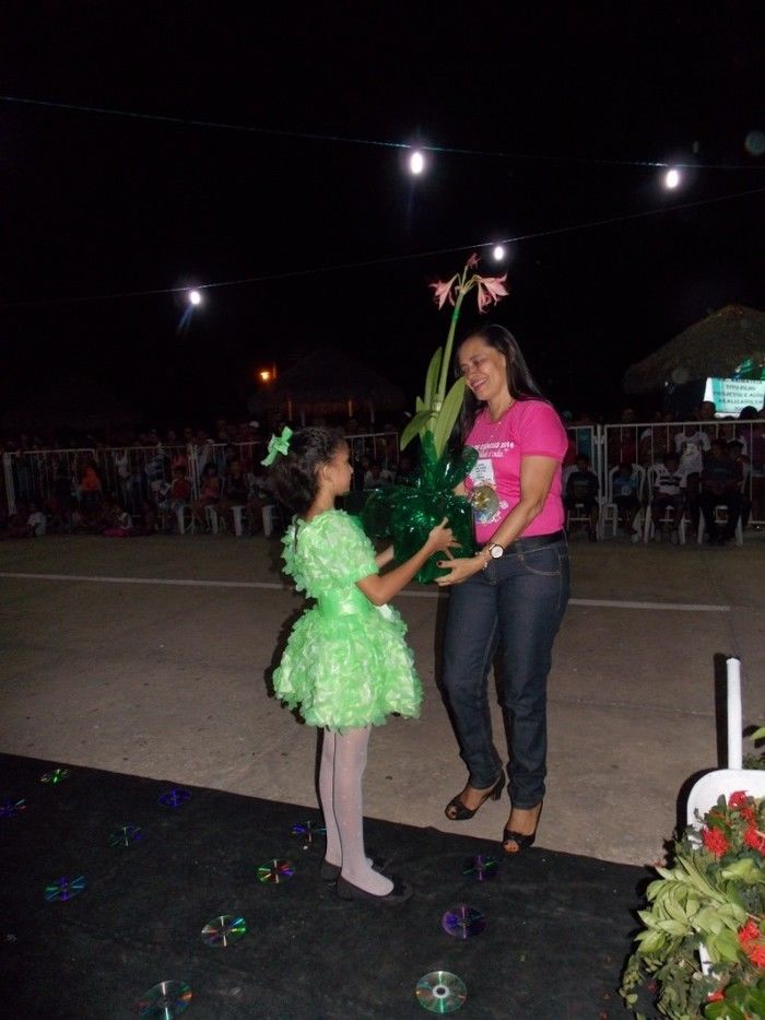 Sustentabilidade é Vida foi tema da “III Feira de Ciências” - Imagem 111