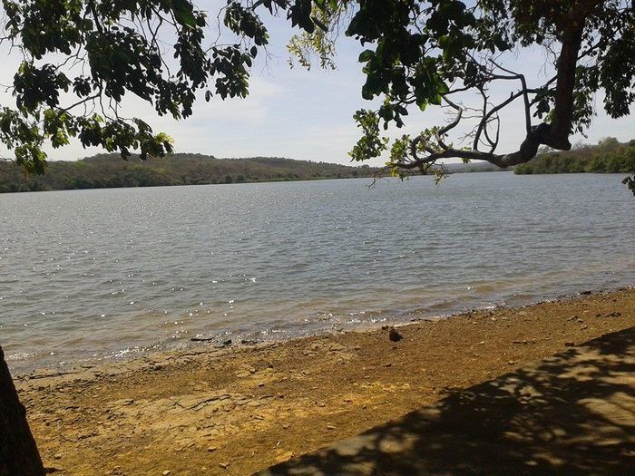 Professores da Unidade Escolar Honorina Tito tem dia de lazer - Imagem 15