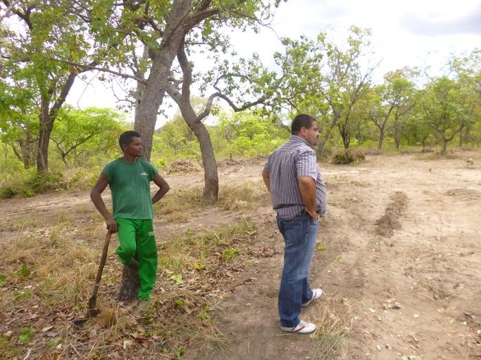 Prefeito acompanha limpeza nos cemitérios - Imagem 8