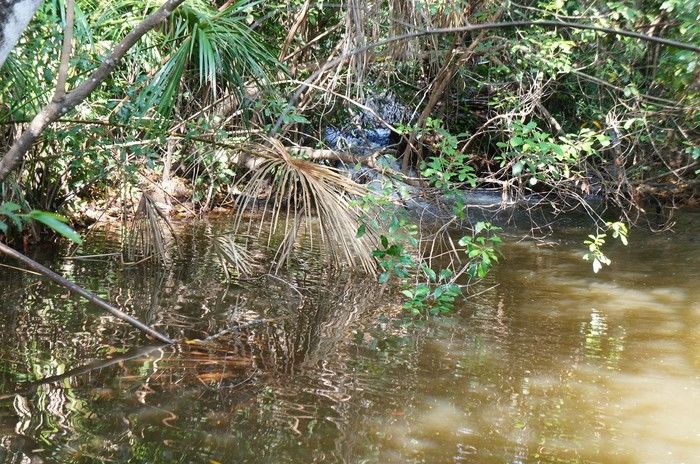 Vende-se a Fazenda Xingu com ótima localização - Imagem 1