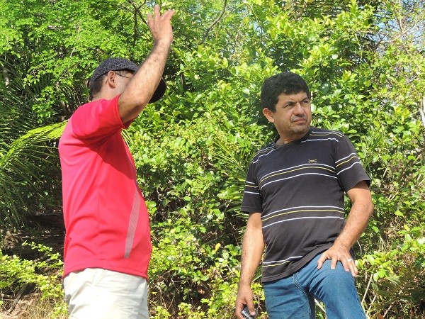                                        Furtuoso o andarilho milagroso - Imagem 14