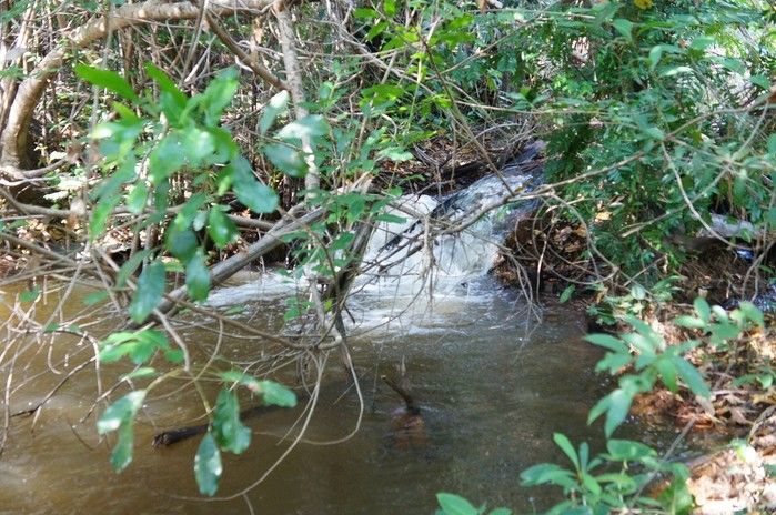 Vende-se a Fazenda Xingu com ótima localização - Imagem 3