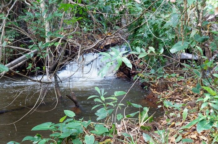 Vende-se a Fazenda Xingu com ótima localização - Imagem 6