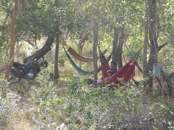                                        Furtuoso o andarilho milagroso - Imagem 5