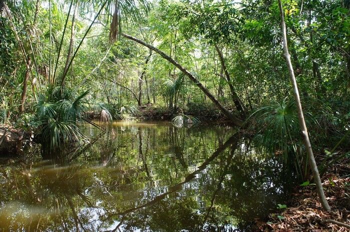 Vende-se a Fazenda Xingu com ótima localização - Imagem 4