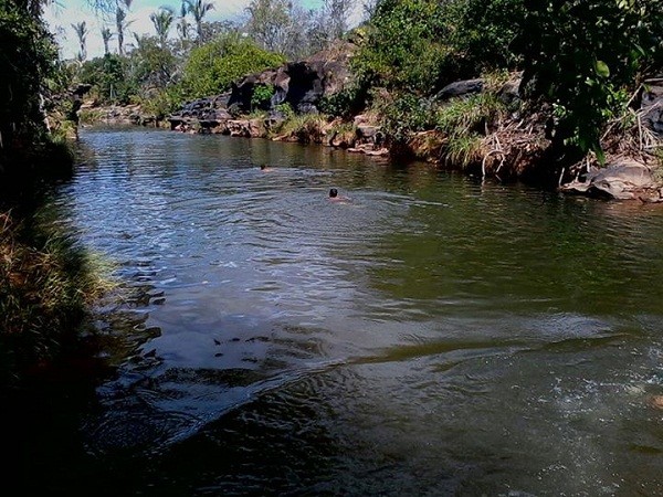                                        Furtuoso o andarilho milagroso - Imagem 6
