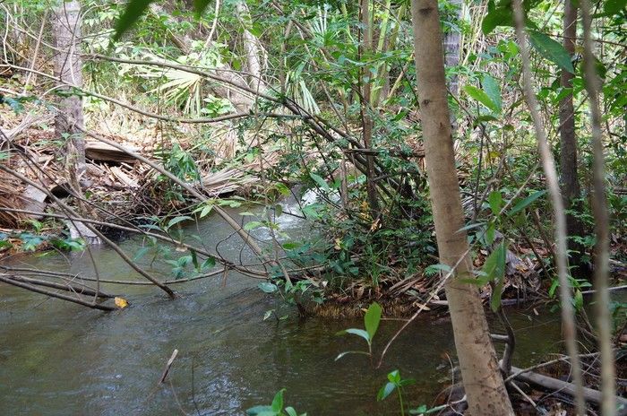 Vende-se a Fazenda Xingu com ótima localização - Imagem 5