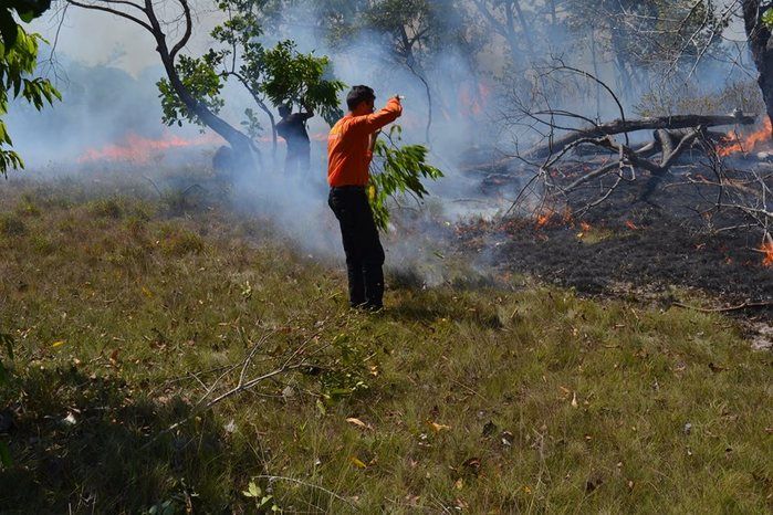 GAV: ‘Moradores acionam o Grupo para ajudar a conter o fogo’ - Imagem 8