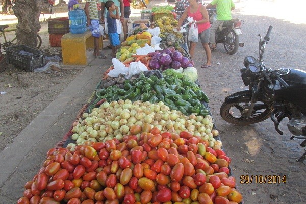 I Feira de Venda e Exposição da Agricultura Familiar - Imagem 17